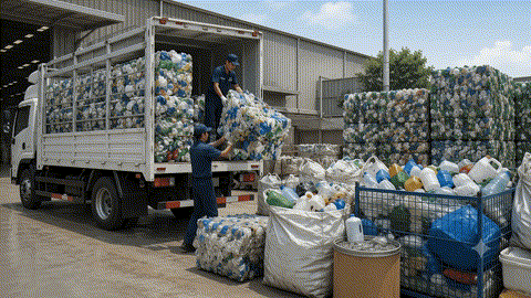 Waste Collection